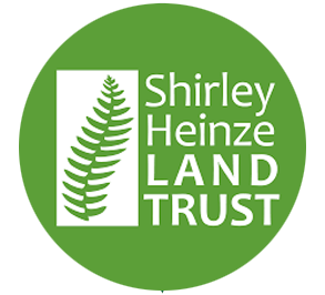 shirley-heinze-logo-275